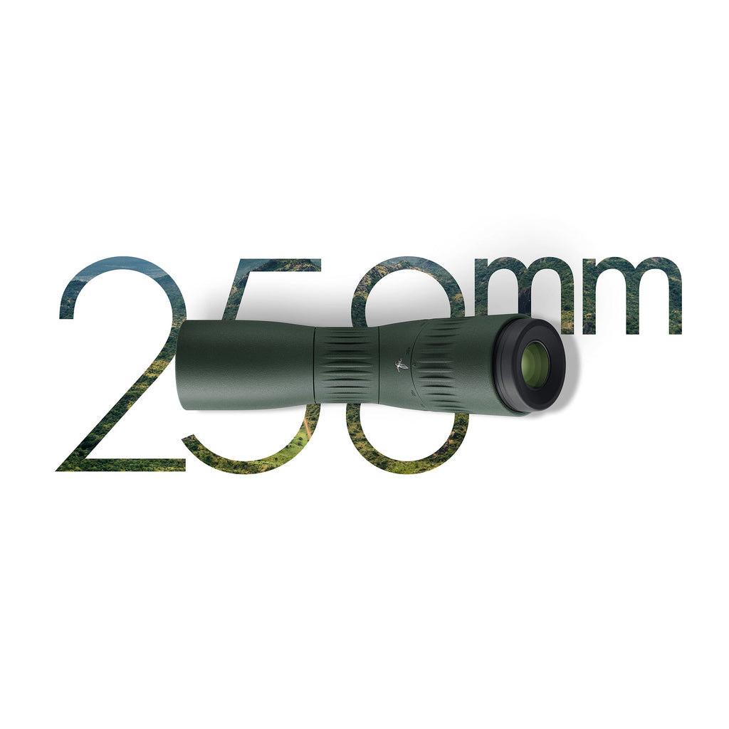 BF-1N4HB0-0 image 1